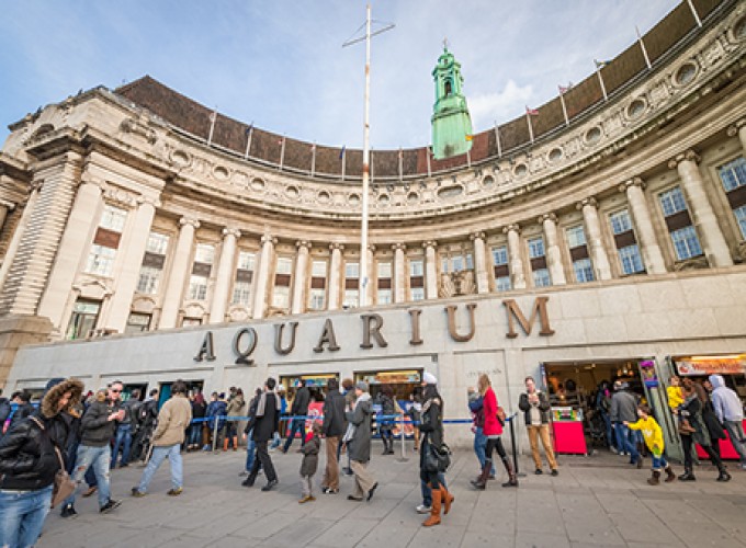 image - London Aquarium