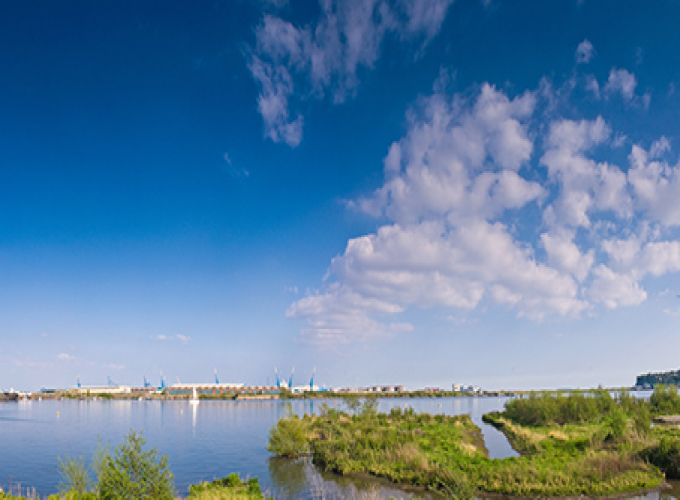 Cardiff Bay Wetland Reserve